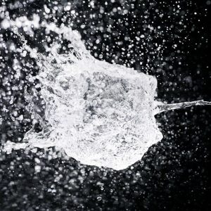 Servicio de Animación 2D Personalizada